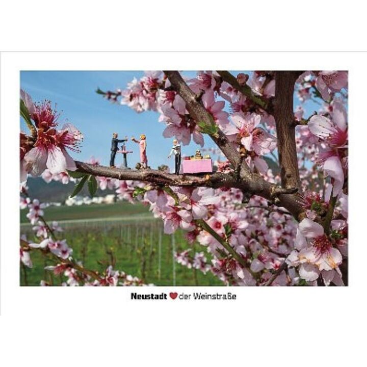 Little Neustadt "Mandelblüte"