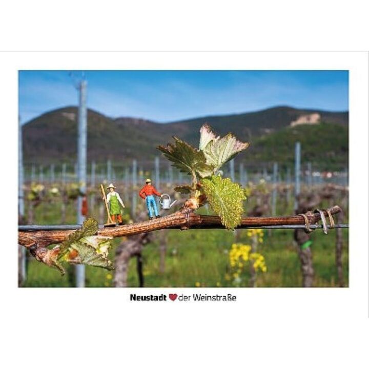 Little Neustadt "Rebenpflege"