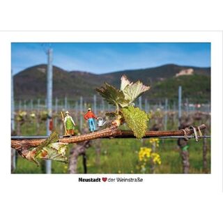 Little Neustadt "Rebenpflege"